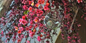 DSC_6608-2813237634-O