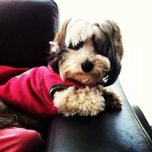 734027_10152689429705182_341156789_n